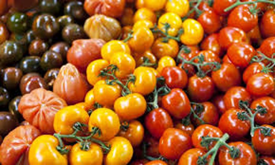 امنیت غذایی با محصولات ارگانیک