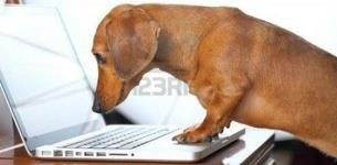 طراحی رایانه برای سگ‌ها! 