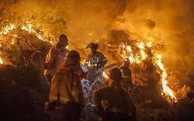 خطر آتش سوزی عرصه های طبیعی مازندران جدی است