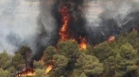 آخرین وضعیت پیشگیری و مقابله با پدیده آتش‌سوزی جنگل‌ها
