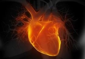 بازیابی اعصاب آسیب دیده قلب با کمک سلولهای بنیادی