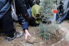 کاشت بیش از ۱۰۰ هزار اصله درخت در غرب تهران