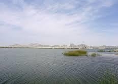 تغییر الگو کشت از عوامل خشکی دریاچه ارومیه 