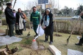 خبرنگاران و هنرمندان در کاشت ۲۰۰ اصله درخت شرکت کردند