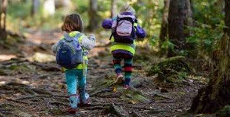 توسعه مدارس طبیعت  بستر رشد مشاغل سبز/.اختصاص زمین به موسسان مدارس طبیعت