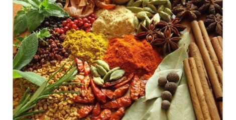 سهم هر ایرانی 25 گرم گیاه دارویی است