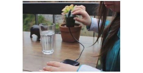 شارژ موبایل با استفاده از انرژی گیاهان