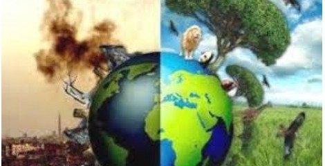 جهان با شعار «من با طبیعتم» به استقبال هفته محیط زیست می‌رود