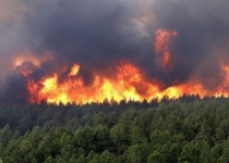 جوامع محلی آتش افروزان و آتش نشانان جنگل