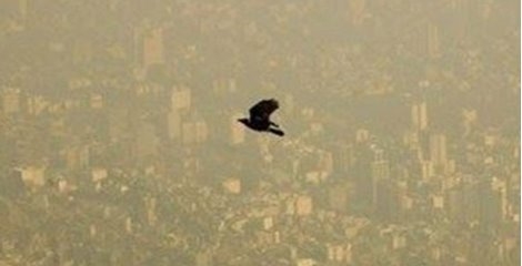۱۴وزیر برای حل معضل گردوغبار به تهران می‌آیند
