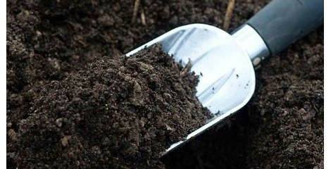 نقش خاک در تصفیه آلاینده ها
