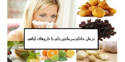 چند ترکیب گیاهی ساده برای «درمان سرماخوردگی» 