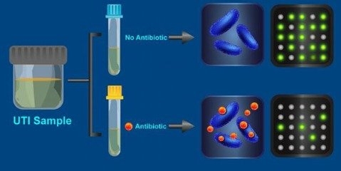 تشخیص باکتری‌های مقاوم به آنتی‌بیوتیک در 30 دقیقه