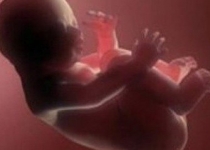 مصرف این ادویه می‌تواند باعث «سقط جنین» شود