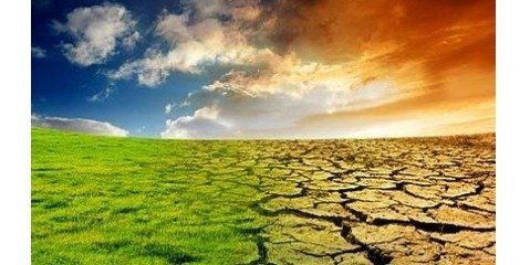 زیان سالانه تغییر آب و هوا در بخش کشاوری ایران، به ١٢‌ هزار ‌میلیارد تومان رسید