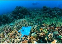 قطعنامه جلوگیری از ورود زباله پلاستیکی به اقیانوس‌ها امضا می‌شود