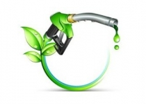 ظرفیت تولید سوخت زیستی در کشور وجود دارد