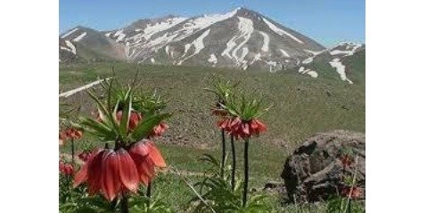 30 درصد مساحت ایران کوهستانی است