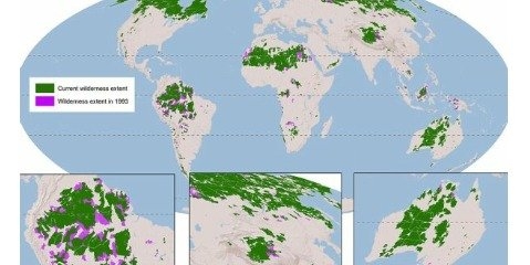 حجم طبیعت کره زمین ۱۰ درصد کاهش یافت