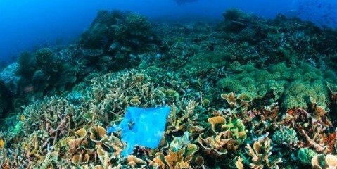 آلودگی پلاستیکی در اعماق اقیانوس‌ها بیش از تخمین‌های قبلی است