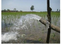 با یک کیلومتر لوله‌گذاری مزارع 70 هزار مترمکعب در مصرف آب صرفه‌جویی می‌شود