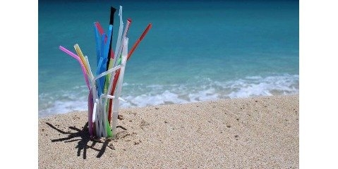 رفع آلودگی های پلاستیکی دریا توسط زیست شناسان دریایی