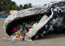  ذرات پلاستیک جان نهنگ ها را به خطر انداخت
