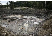 افزایش ۲۸ درصدی تخریب جنگل‌های آمازون