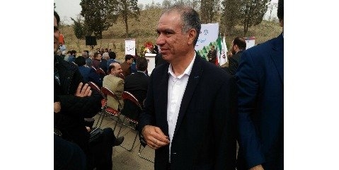راه‌اندازی مجدد نهضت درختکاری در تهران