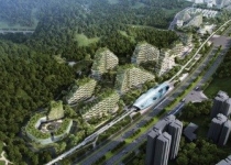 احداث ۳۰۰ شهر جنگلی در چین با هدف بهبود محیط زیست