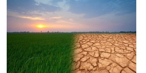 بیابان‌زایی پیامد تغیرات اقلیمی به فروپاشی سرزمینها ختم می شود