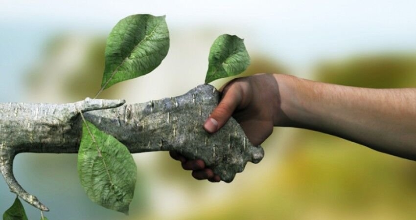 سازمان های مردم نهاد بازوی پرتوان حفاظت محیط زیست