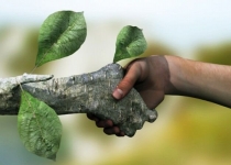 سازمان های مردم نهاد بازوی پرتوان حفاظت محیط زیست