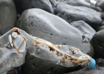 انبوه بطری های پلاستیکی ساخت چین در جزیره ای دورافتاده