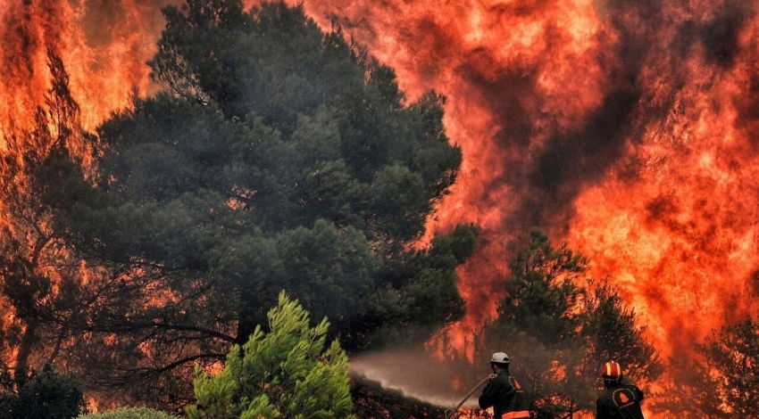 استان هایی که از آتش سوزی های اخیر بیشتر آسیب دیده اند