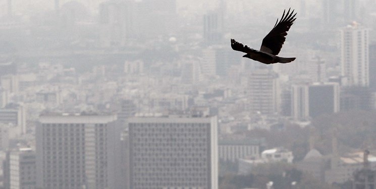 بیست راه برای تحمل آلودگی هوا