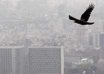 بیست راه برای تحمل آلودگی هوا