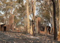 تجربیات یک دانشمند محیط زیست از آتش سوزی های استرالیا