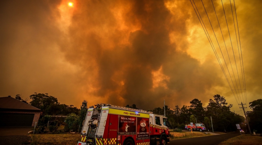 بیش از 20 درصد از جنگل های استرالیا در آتش سوزی های اخیر سوختند
