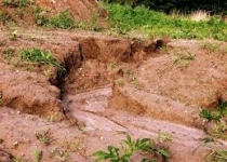 فرسایش حدود ۲ میلیارد تن خاک در سال