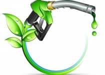 ۲ پروژه ملی برای توسعه تولید سوخت زیستی در کشور اجرایی می‌شود
