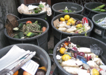 چگونه بخش کشاورزی به کاهش تولید زباله کمک کند؟