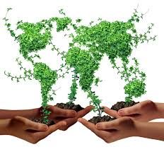 رشد و اقتصاد سبز