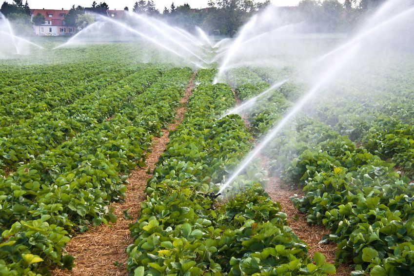 مصرف آب در کشاورزی