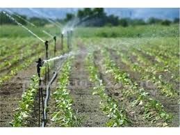 بهبود سیستم آبیاری عامل صرفه جویی در آب کشاورزی