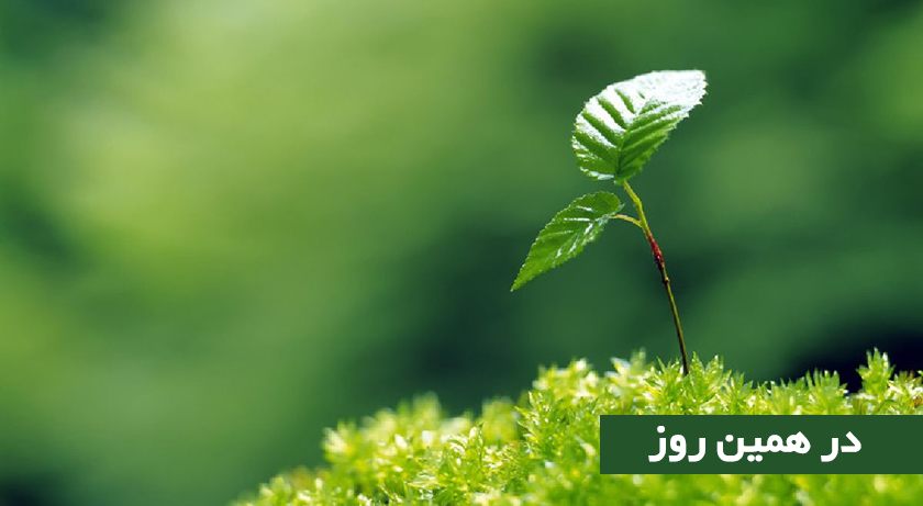 روز درختکاری در ایران