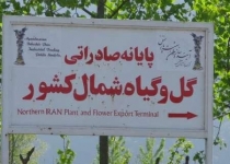 پایانه گل و گیاه شمال، زخم برجای مانده