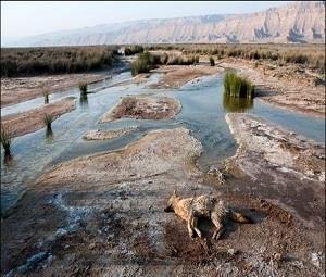 تالاب نمک - استان فارس (عکس)