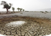 خطر گسترش فرش بیابان بر سیمای رنجور خاوران