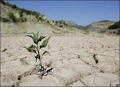 ضربات جبران ناپذیر خشکسالی بر محیط طبیعی 